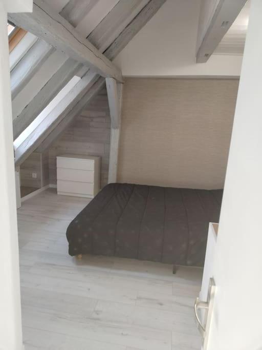 Charmant Appartement Cosy Sélestat Esterno foto